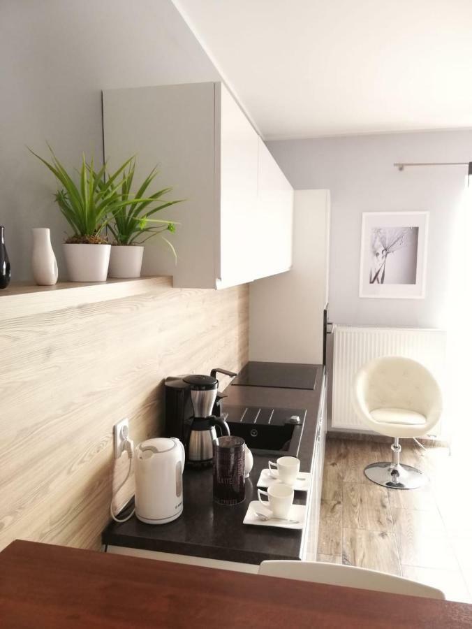 Apartament Neptun オルシュティン エクステリア 写真